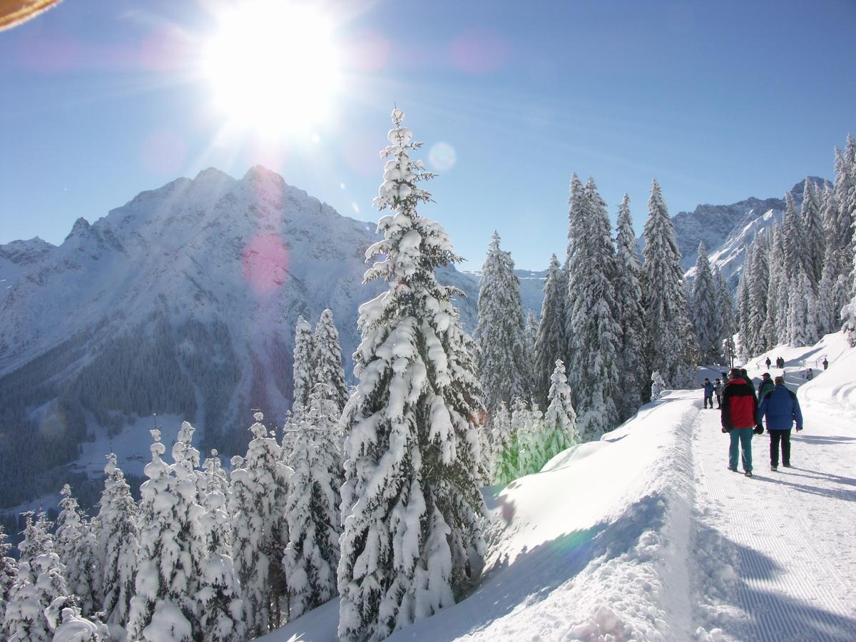 Alp-Chalet Hirschegg  Dış mekan fotoğraf