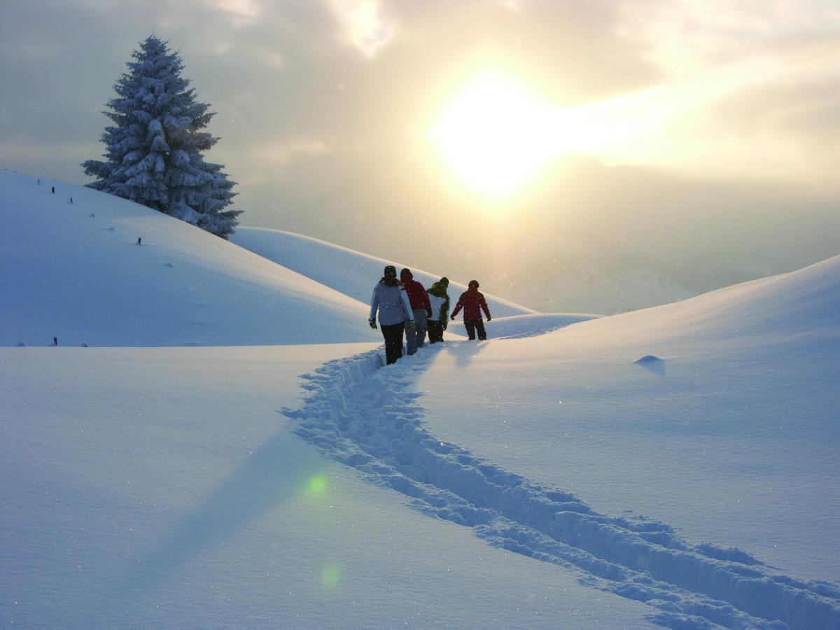 Alp-Chalet Hirschegg  Dış mekan fotoğraf